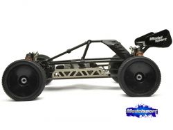 Hobao hyper cheap cage truggy