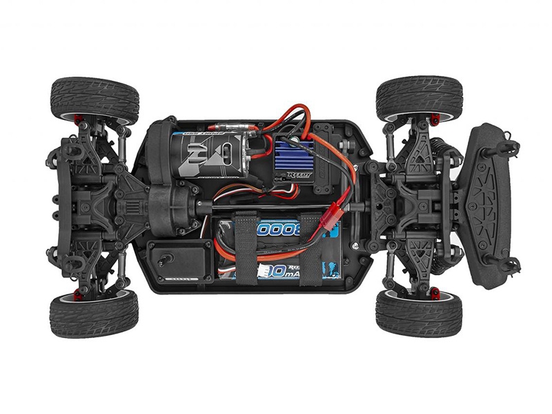 Team associated apex new arrivals